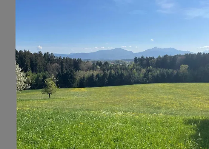 Siedenberg Nyaraló *